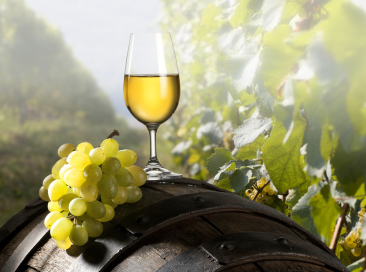 vino