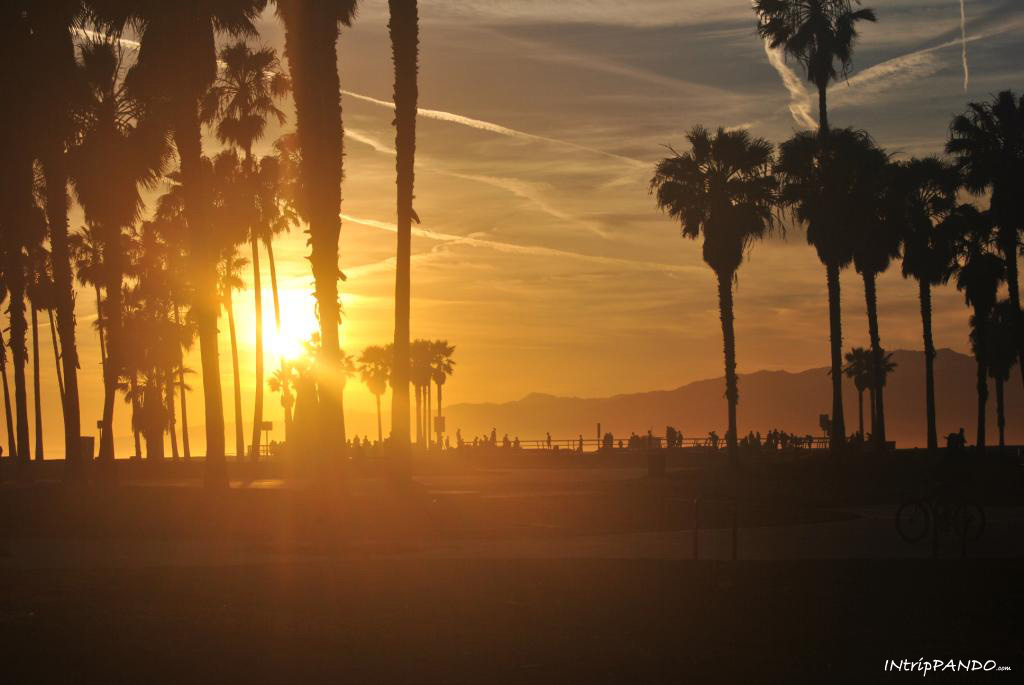 tramonto a Venice beach